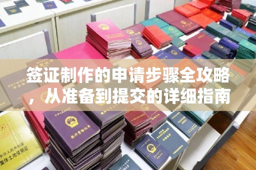 栾川签证制作的申请步骤全攻略，从准备到提交的详细指南